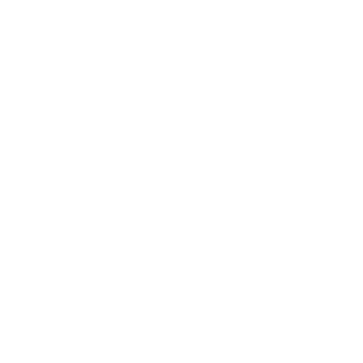 budget